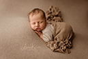 Hannover_LianeKöhler_Newborn_151